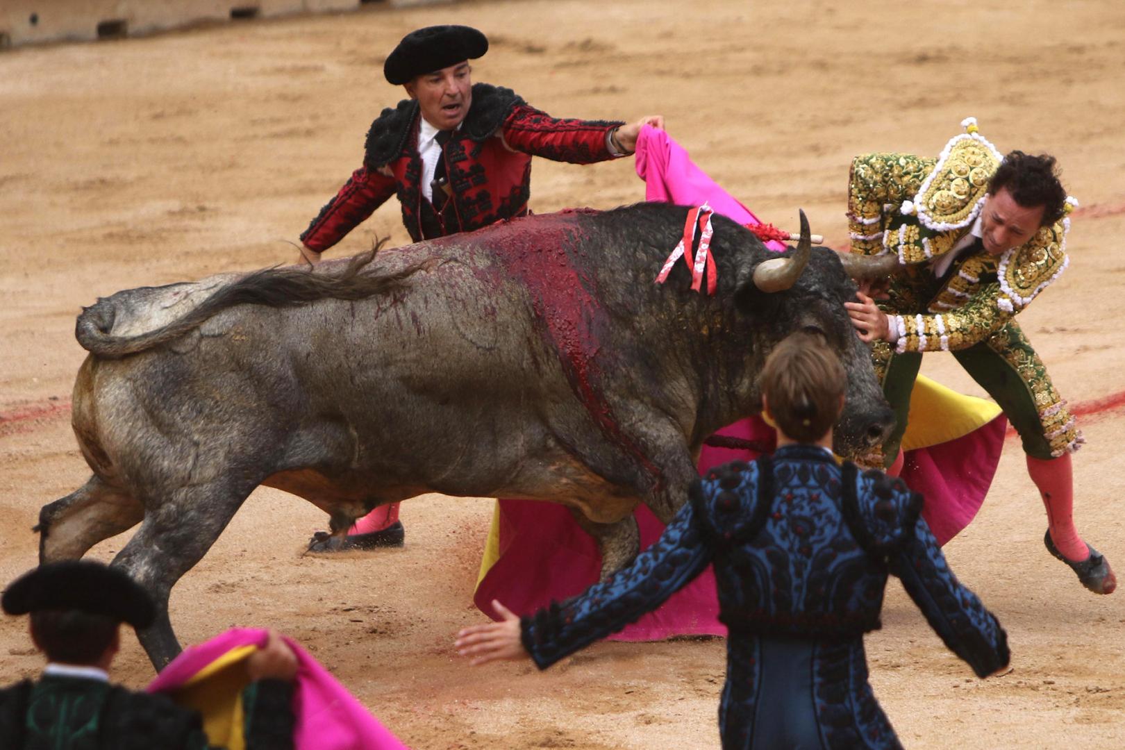 El diestro Rafaelillo, prendido por el toro de Escolar en 2025