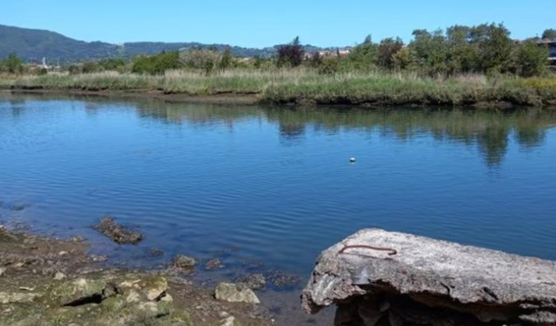 Río Bidasoa a su paso por Irun