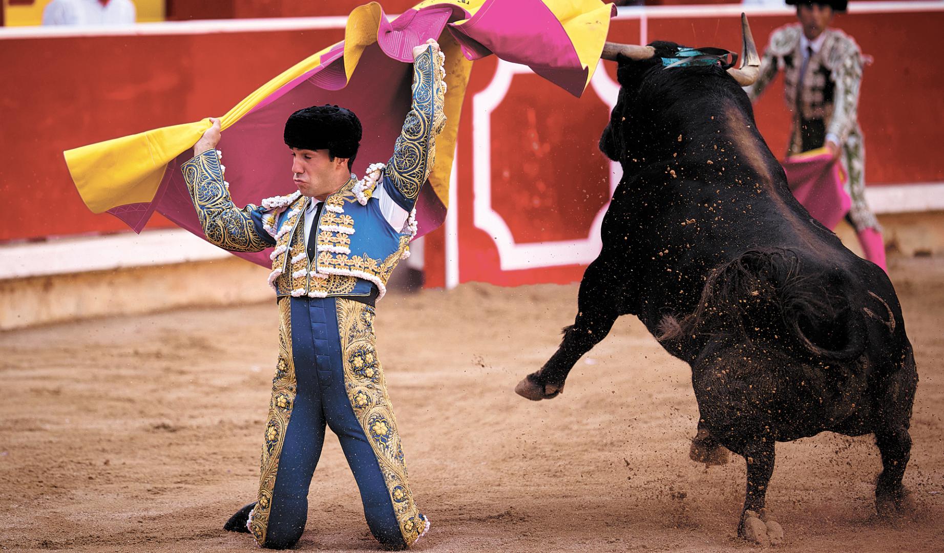 Tomás Rufo, triunfador de la Feria del Toro 2026, recibe a uno de sus toros con un farol de rodillas el día 14 en la corrida de Jandilla