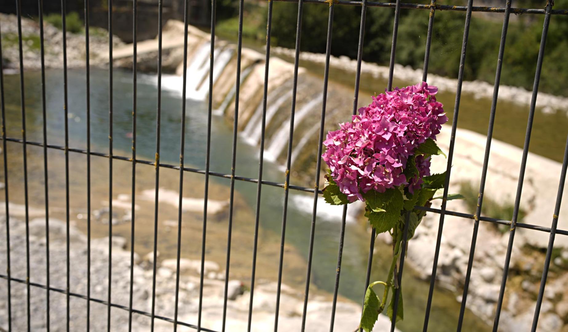 Flores en la presa de Roncal en el río Esca donde se produjeron los ahogamientos