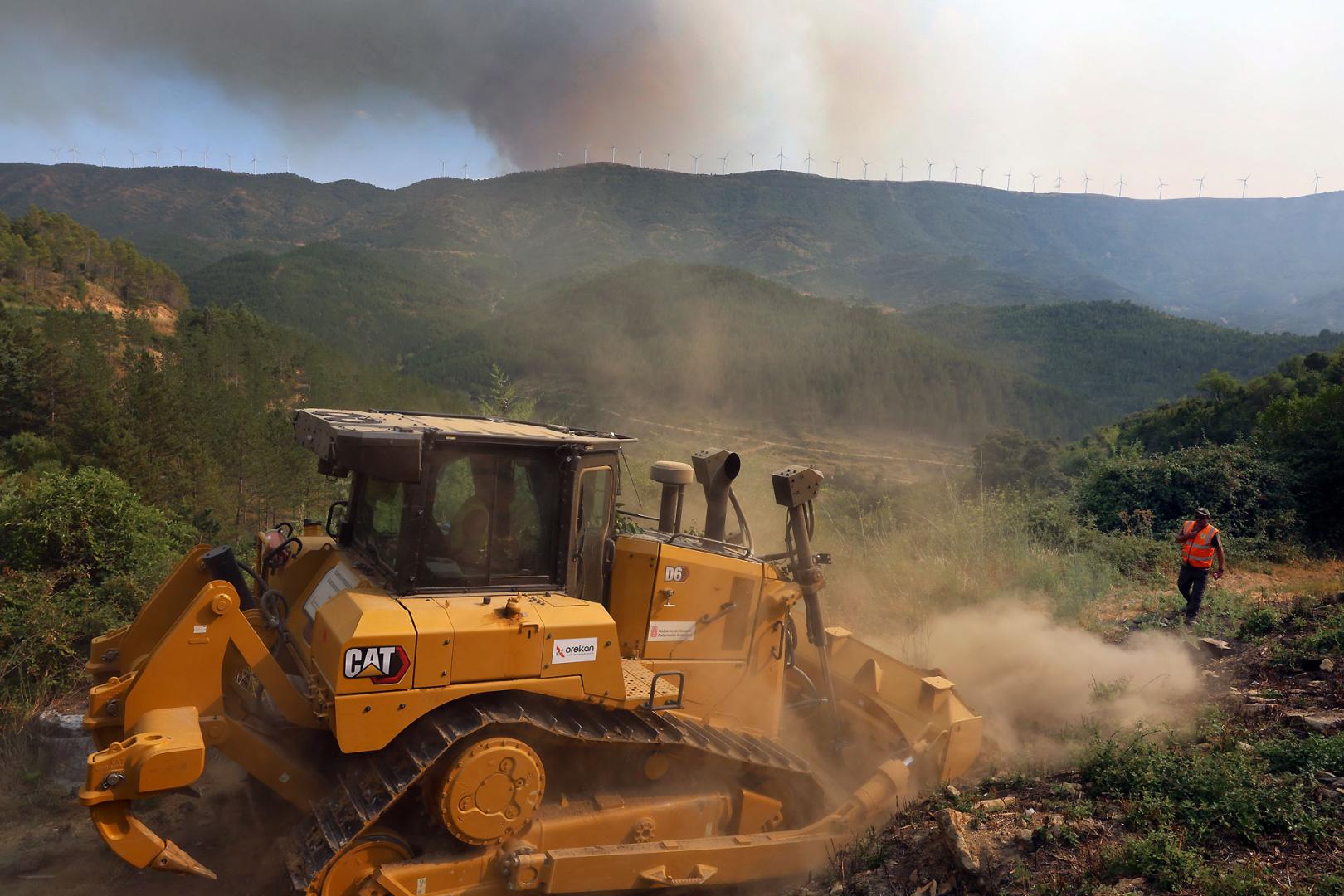 petilla de Aragón incendio