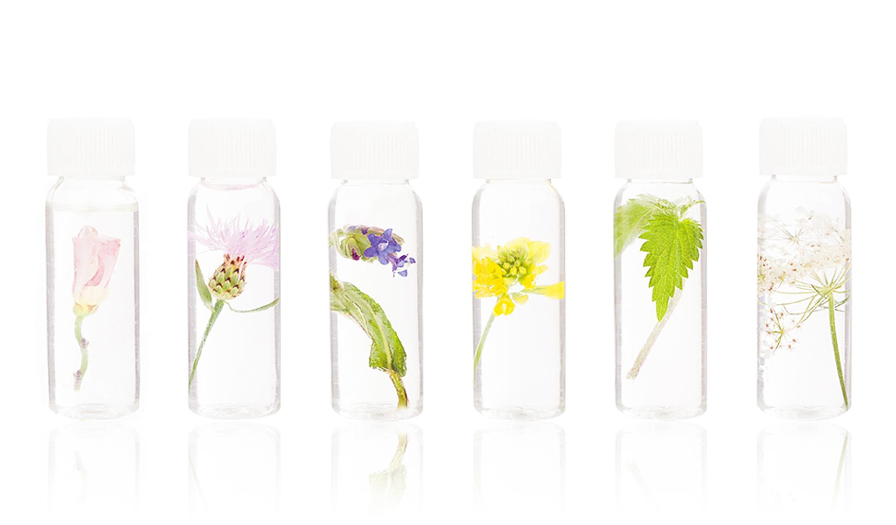 Las plantas medicinales llegan a la Casa de la Juventud en un taller