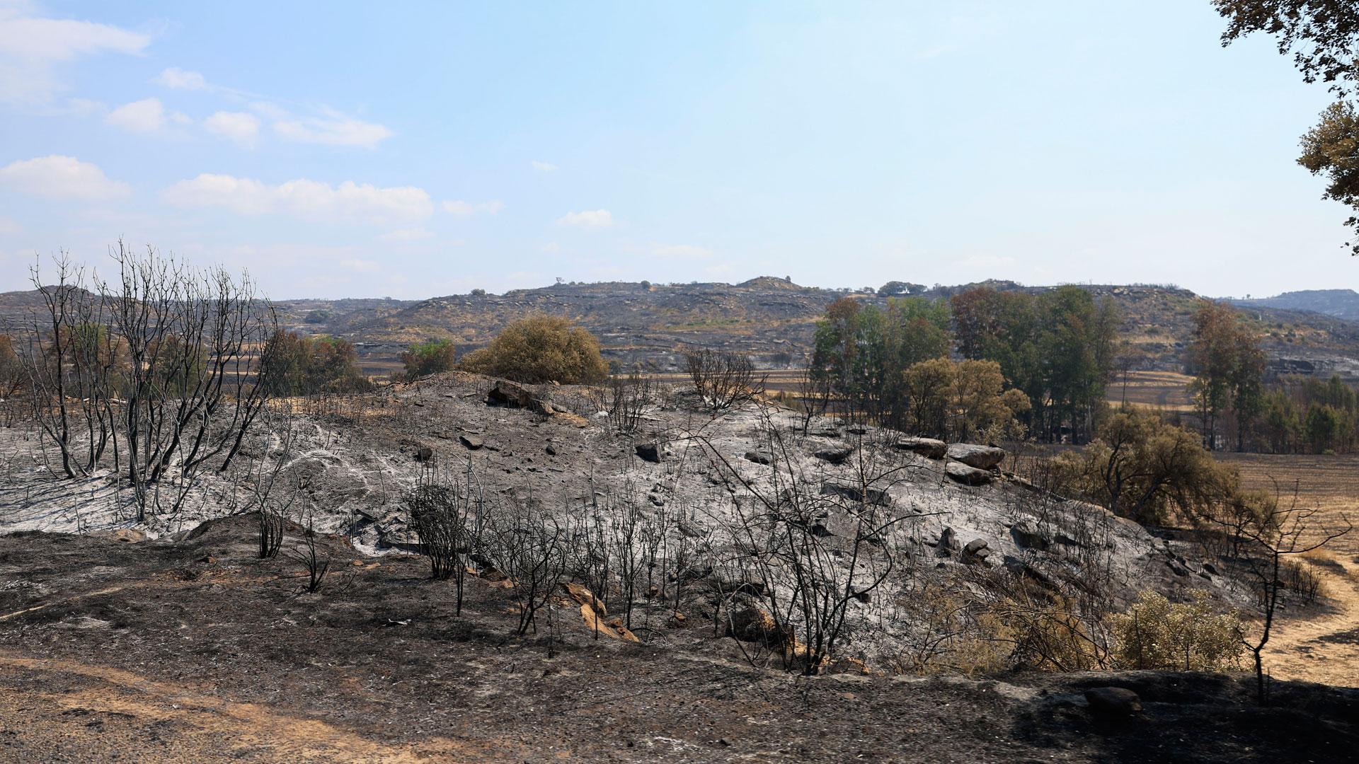 Vista de la situación del incendio de Orés en la comarca zaragozana de las Cinco Villas