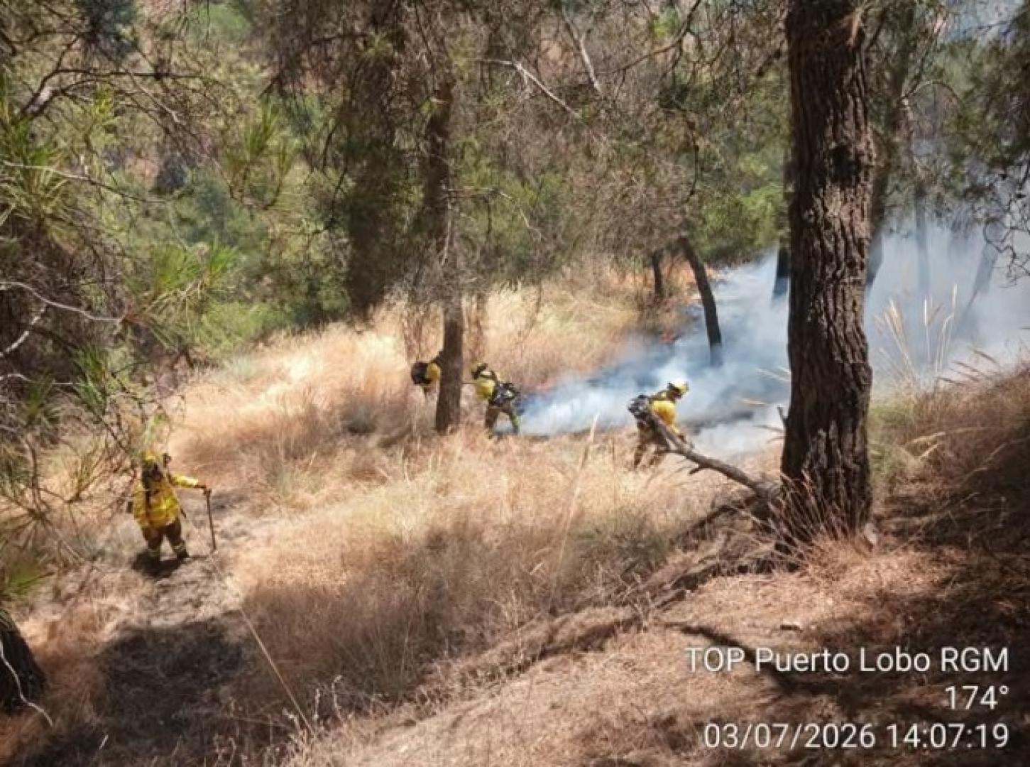 Imagen de efectivos de bomberos forestales trabajando en el incendio registrado hace unos días en el Sacromonte