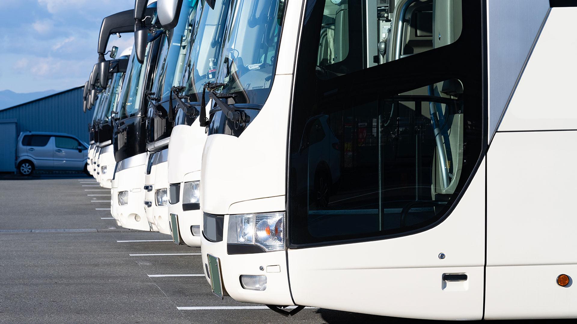 Varios autobuses
