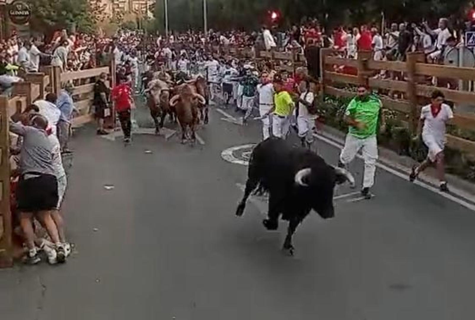La manada encara la entrada a la plaza de toros
