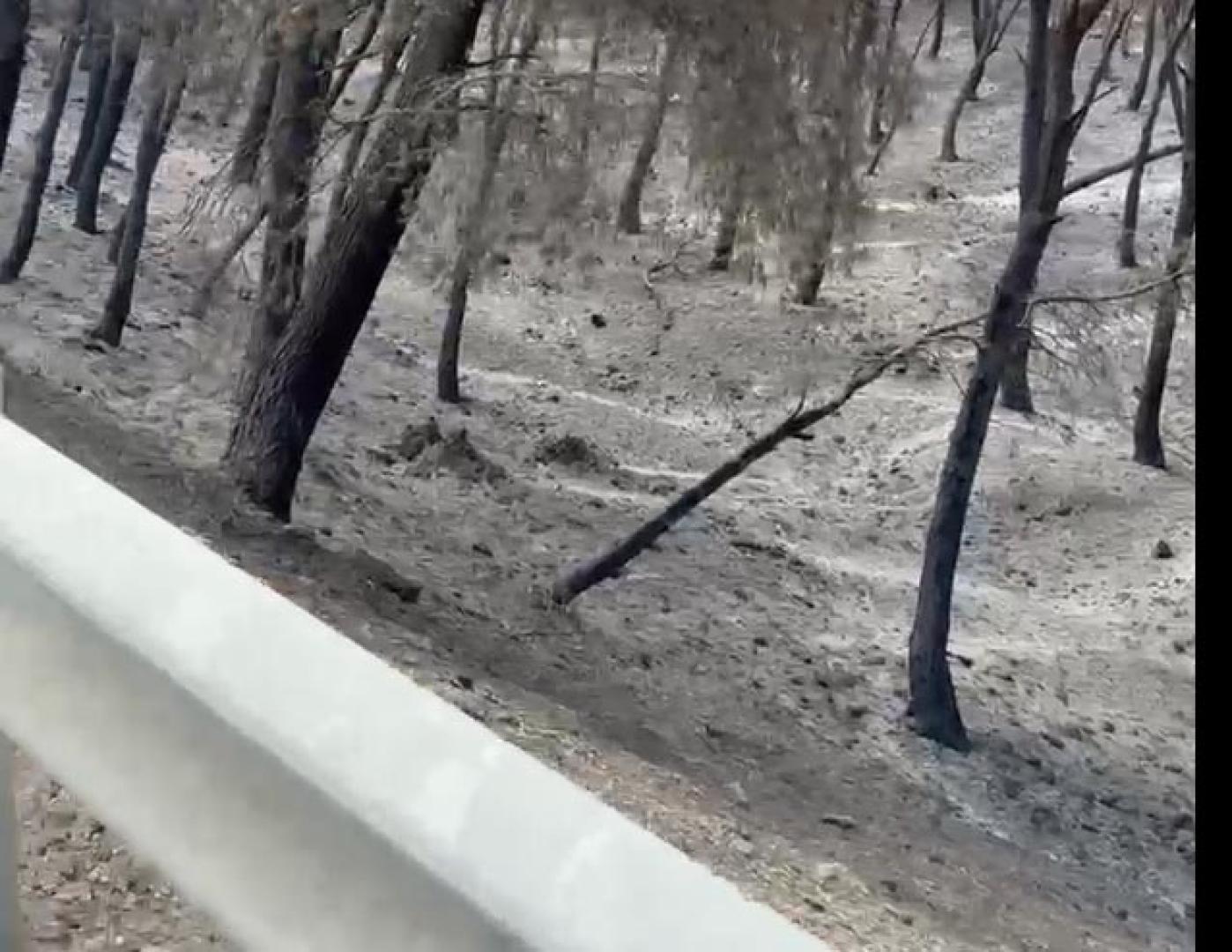 La reactivación del incendio ha obligado a cortar el enlace de la NA-232 con la AP-15