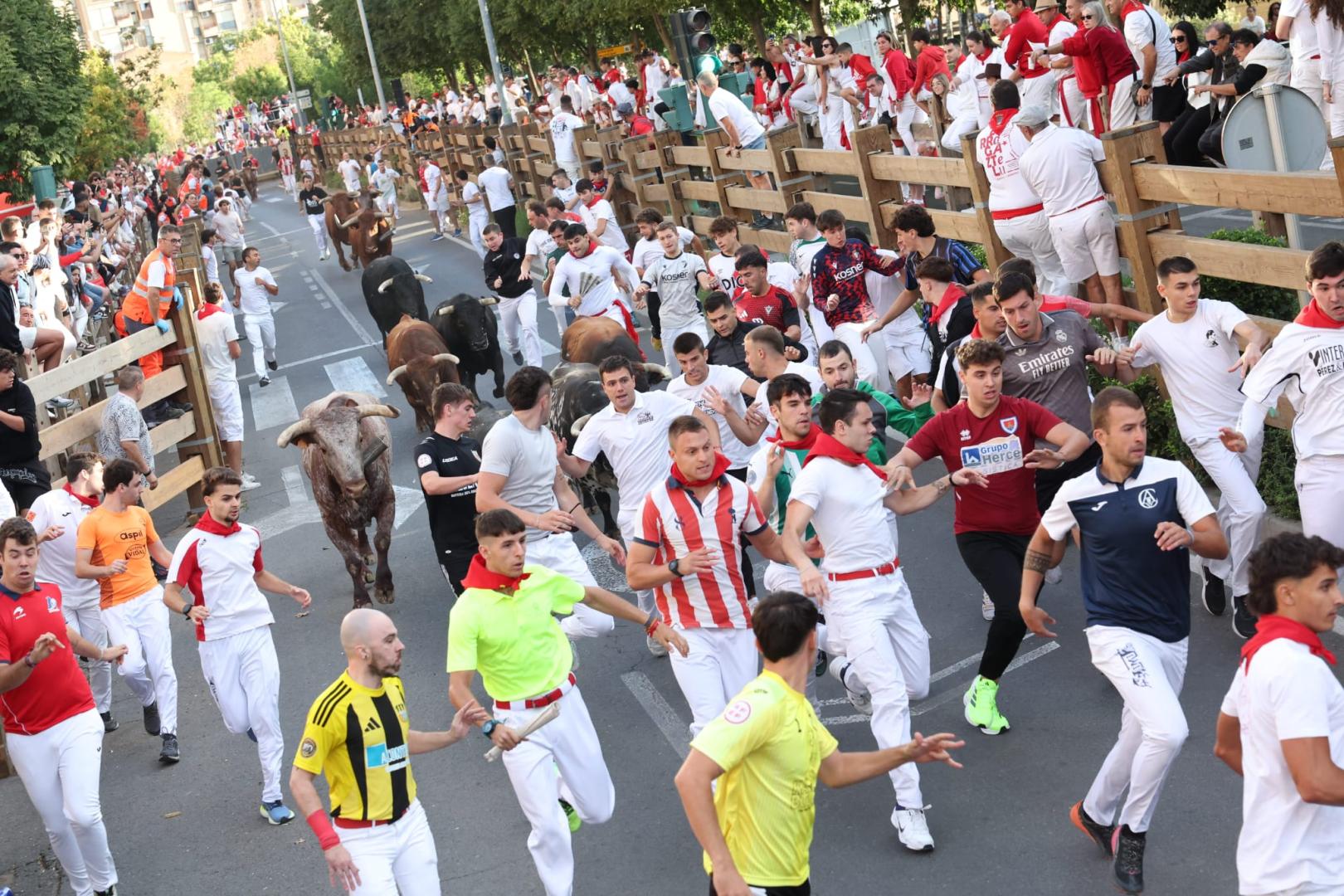 Bonitas carreras de los mozos en el tercer encierro de fiestas de Tudela