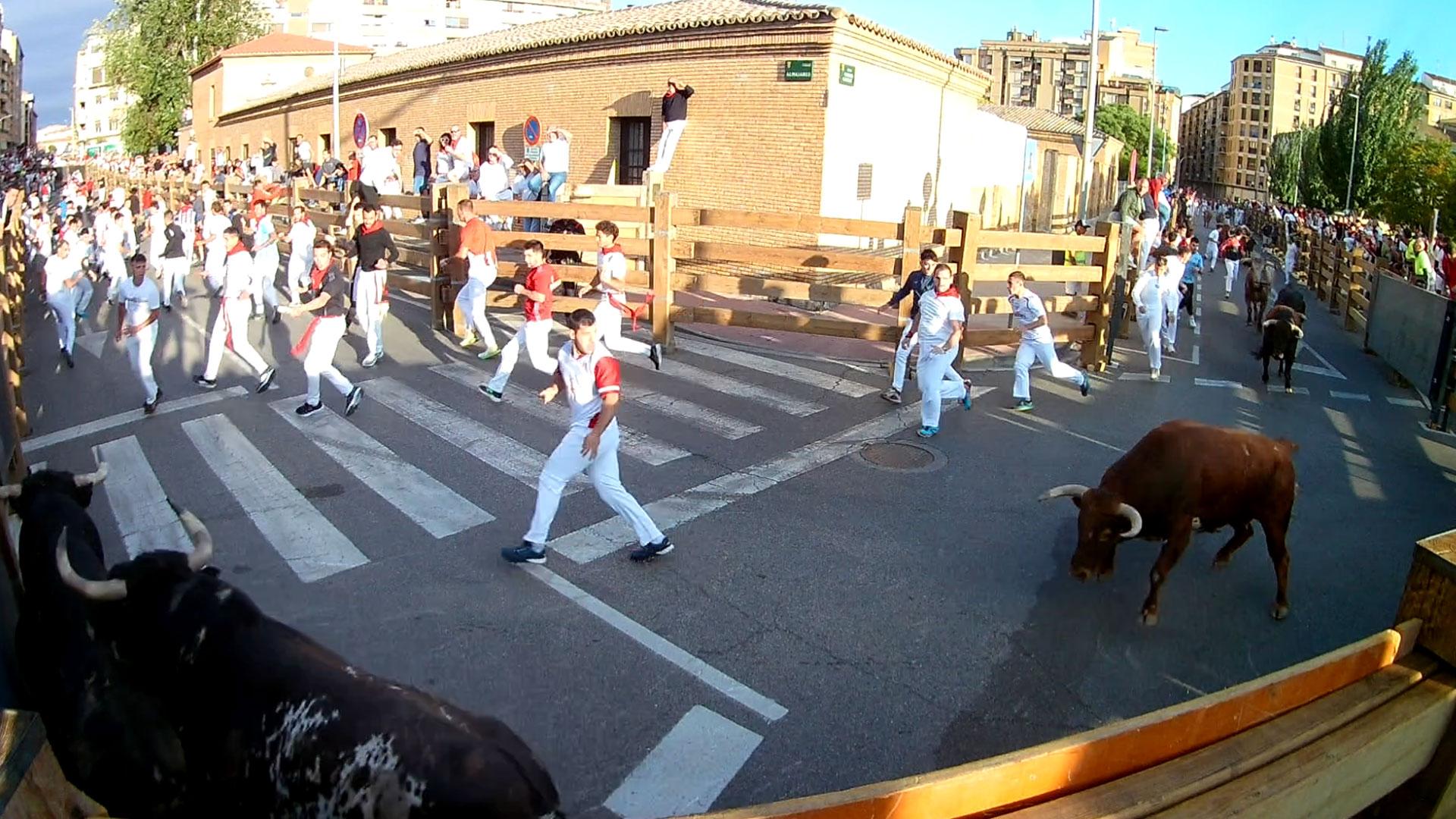 Vídeo de la manada llegando a la curva entre Camino Caritat y Almajares en el tercer encierro de Tudela