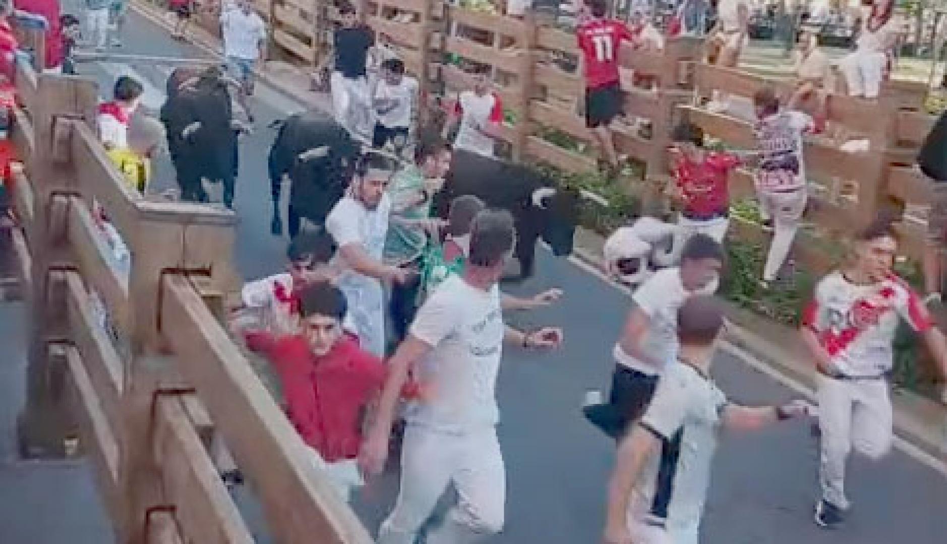 Vídeo del cuarto encierro de fiestas de Tudela 2026 en el tramo de la avenida Zaragoza