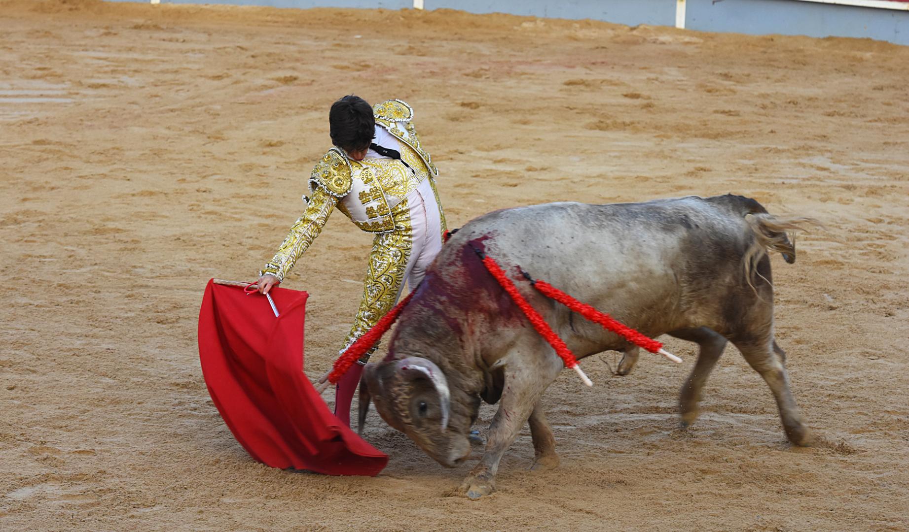 Jaime Torija instrumenta una tanda de derechazos con gusto al novillo jabonero “Carasucia” que cerró el festejo cortándole una oreja
