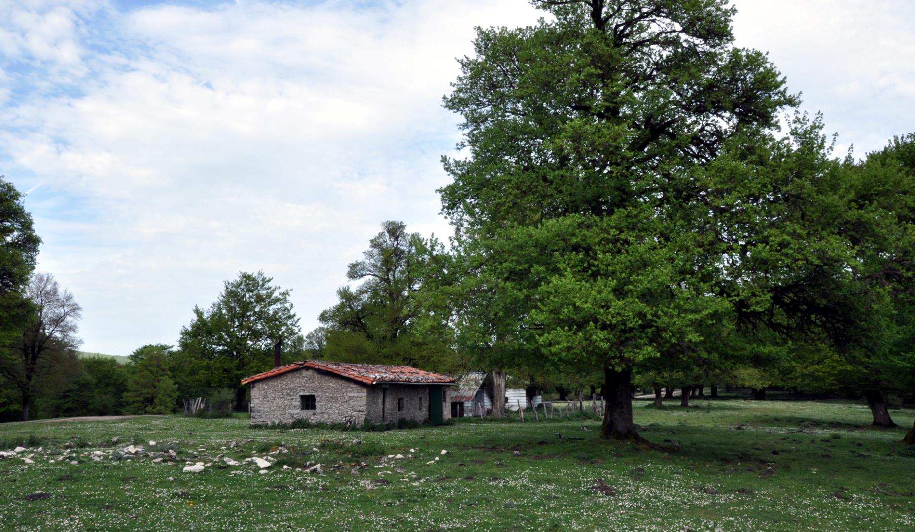 Zona de Urbasa