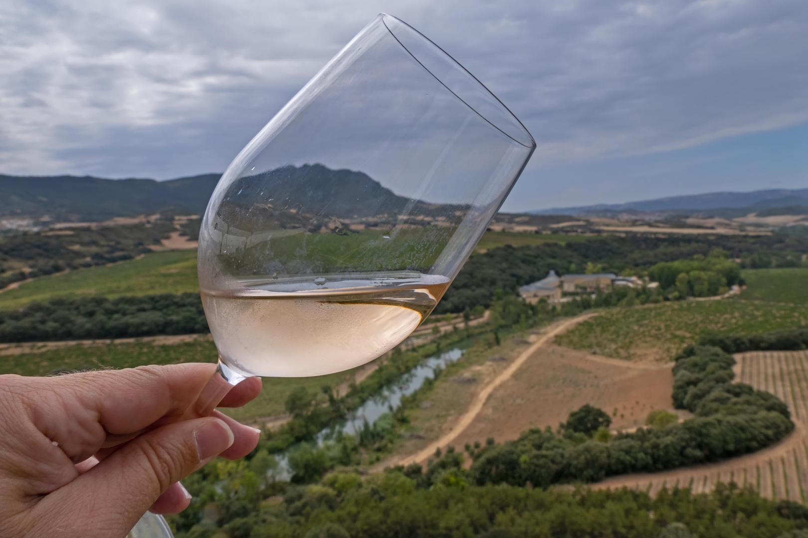 El paisaje de una zona de Estella visto a través de una copa de vino