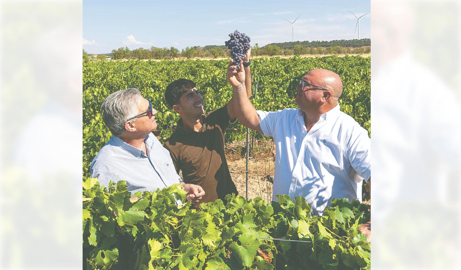 Por la izquierda, Serafín Vicente Martínez (presidente bodega cirbonera), Israel Garbayo Sesma (miembro de la junta directiva) y Óscar Basarte Martínez (vicepresidente), en un viñedo de Corella