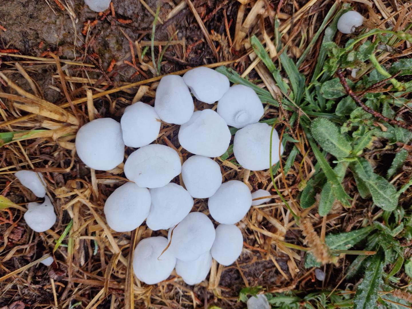 Granizo recogido en Noáin
