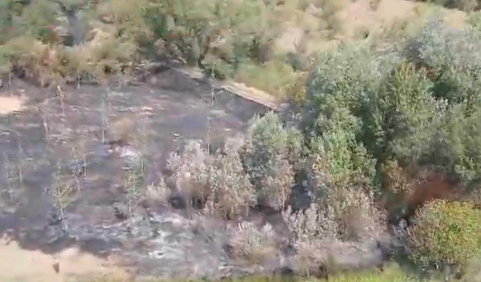 Extinguido un incendio de vegetación en una zona de maleza y chopos en Soto del Sequero