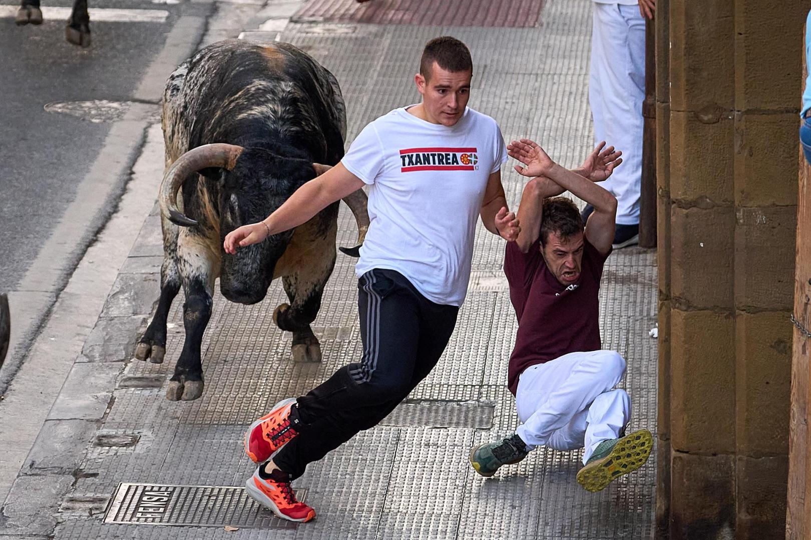 Un toro arrincona a dos mozos en el segundo encierro de Tafalla