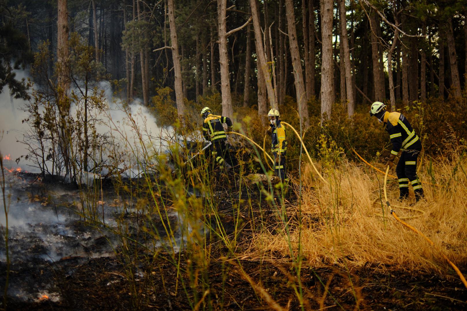 Incendio provocado por un turismo en la Autopista de Navarra
