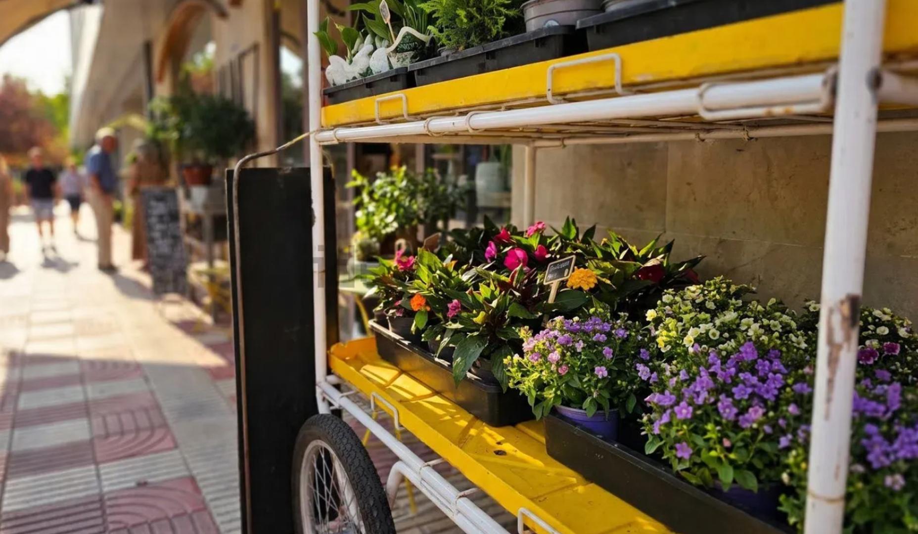 Flores en el exterior de la floristería Núñez