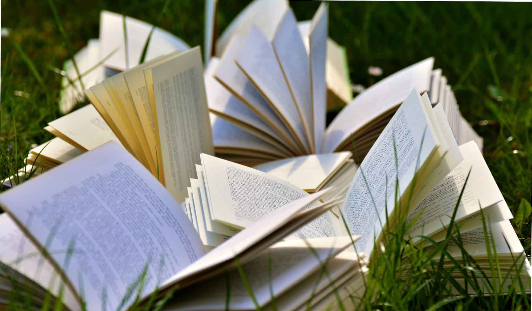 Los libros, una mirada abierta al mundo