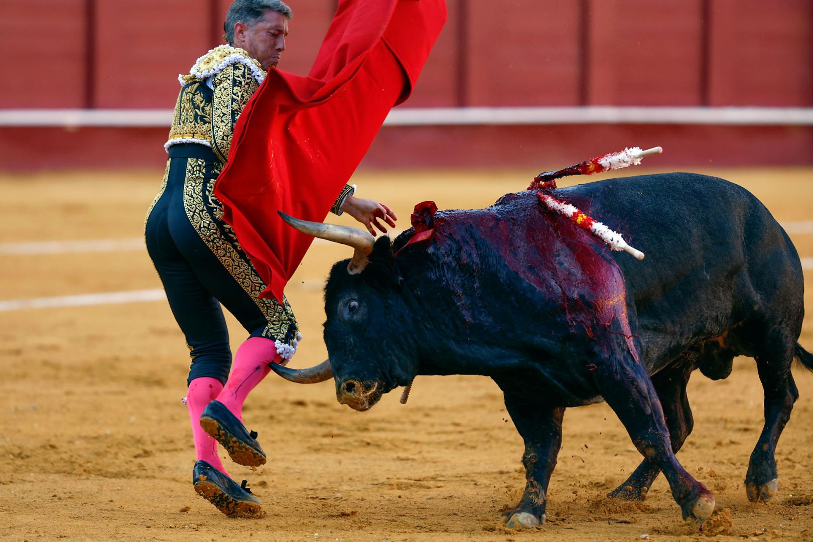 Manuel Escribano