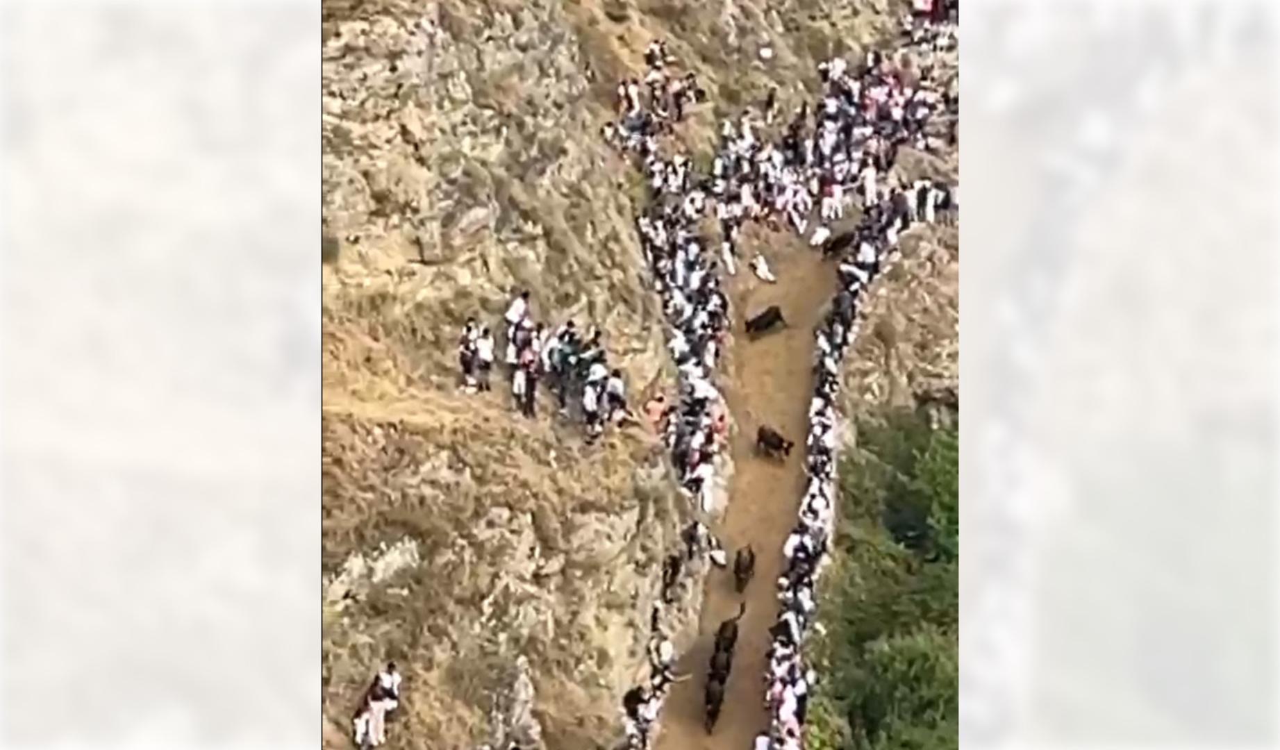 Vídeo del octavo encierro de las fiestas de Falces