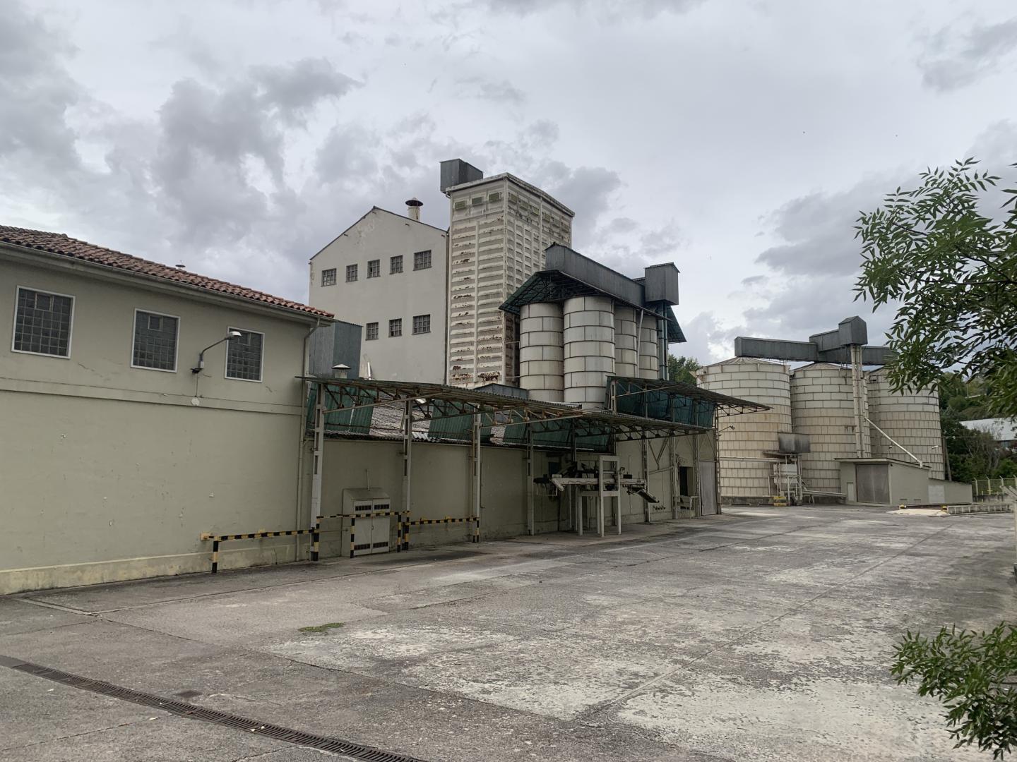 Los silos de la antigua fábrica de piensos Sanders, en la parcela situada junto a la antigua ikastola Jaso