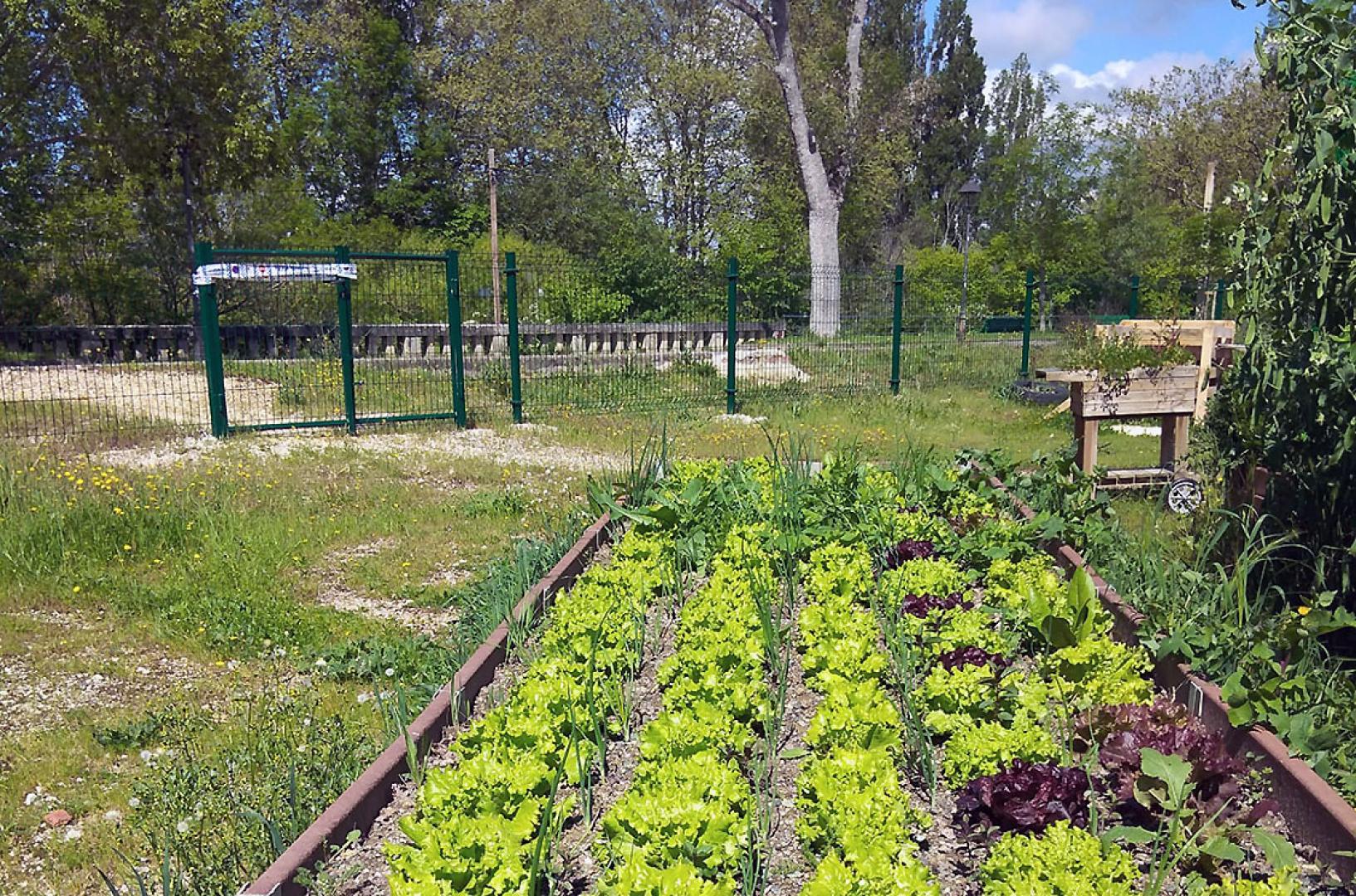 huerta aranzadi