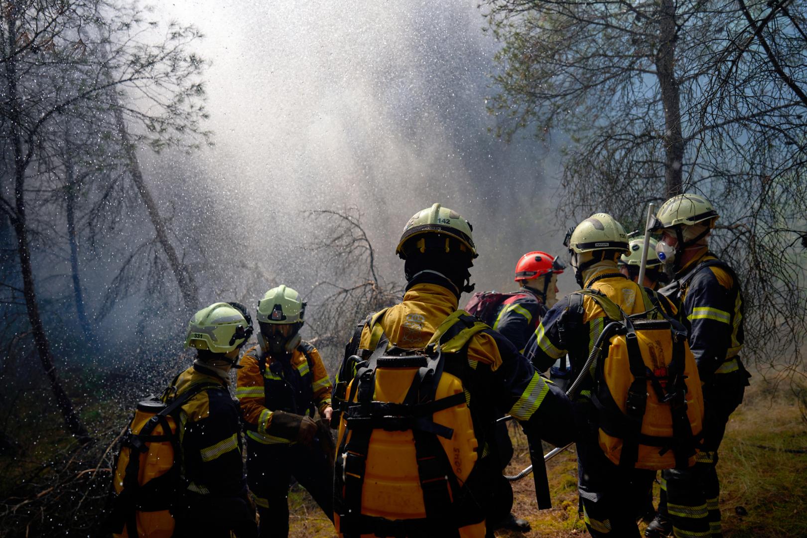 Bomberos forestales navarros en el incendio forestal de Carcastillo declarado este viernes