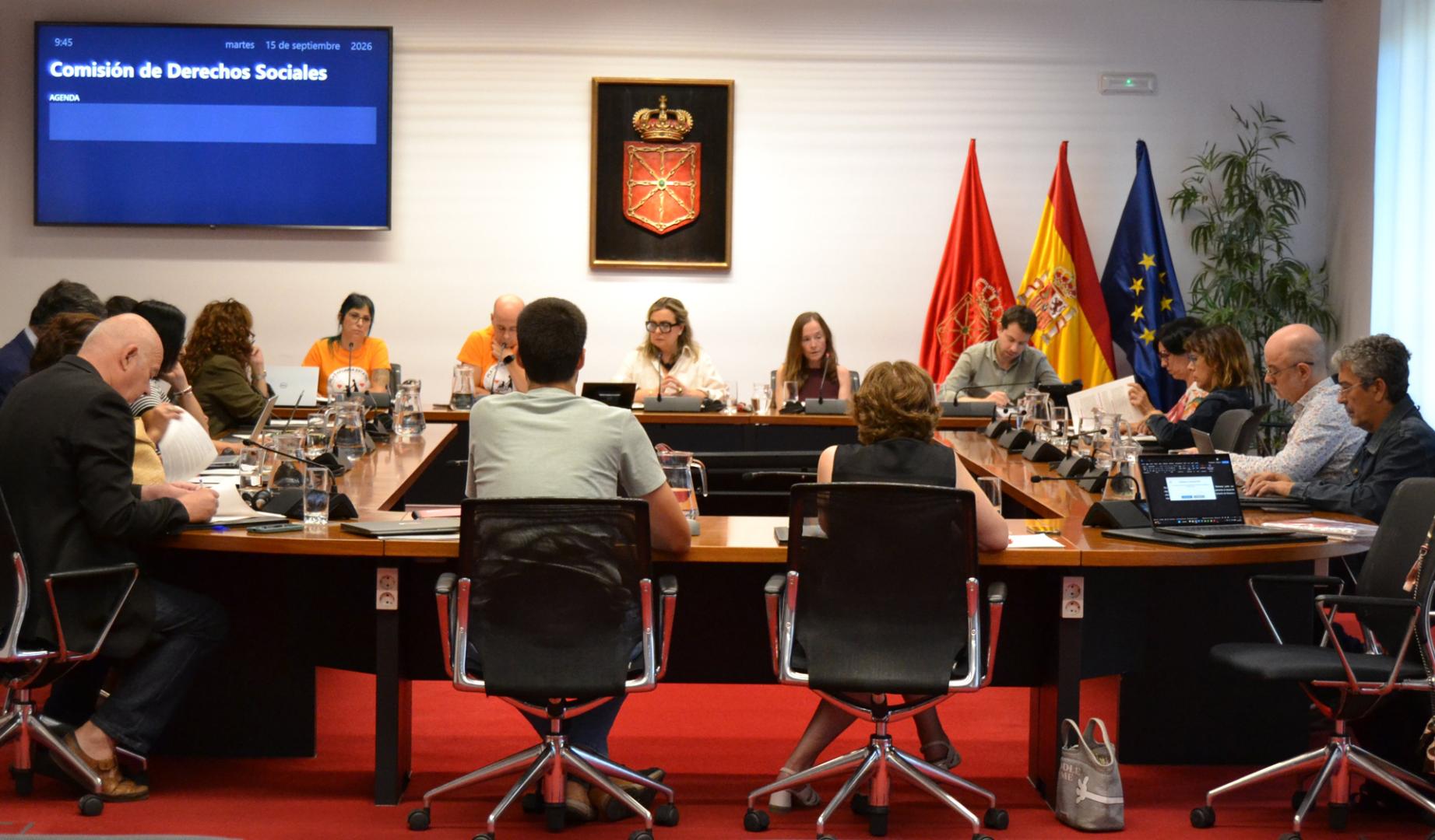 Comisión de Derechos Sociales del Parlamento de Navarra