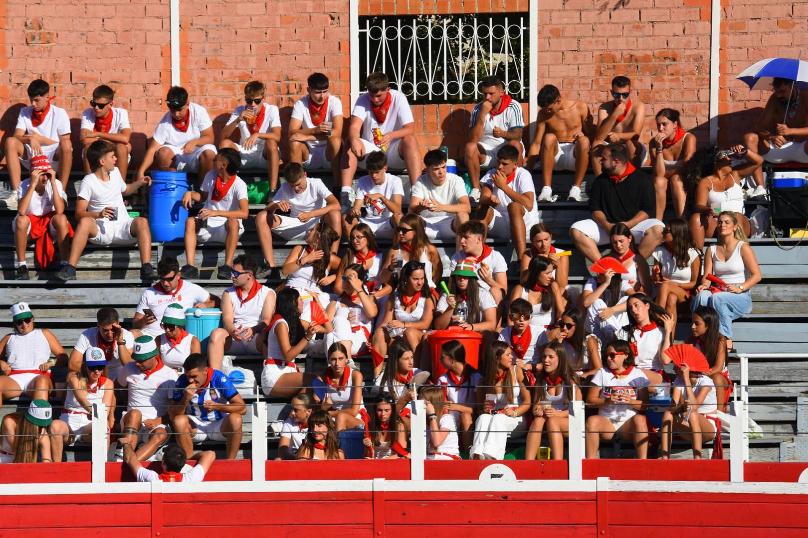 Toros de la Dehesa de Guadarrama para los novilleros forales Aarón Navas, Pablo Hernández y Pacho Jiménez en la novillada de fiestas de Sangüesa el 15 de septiembre
