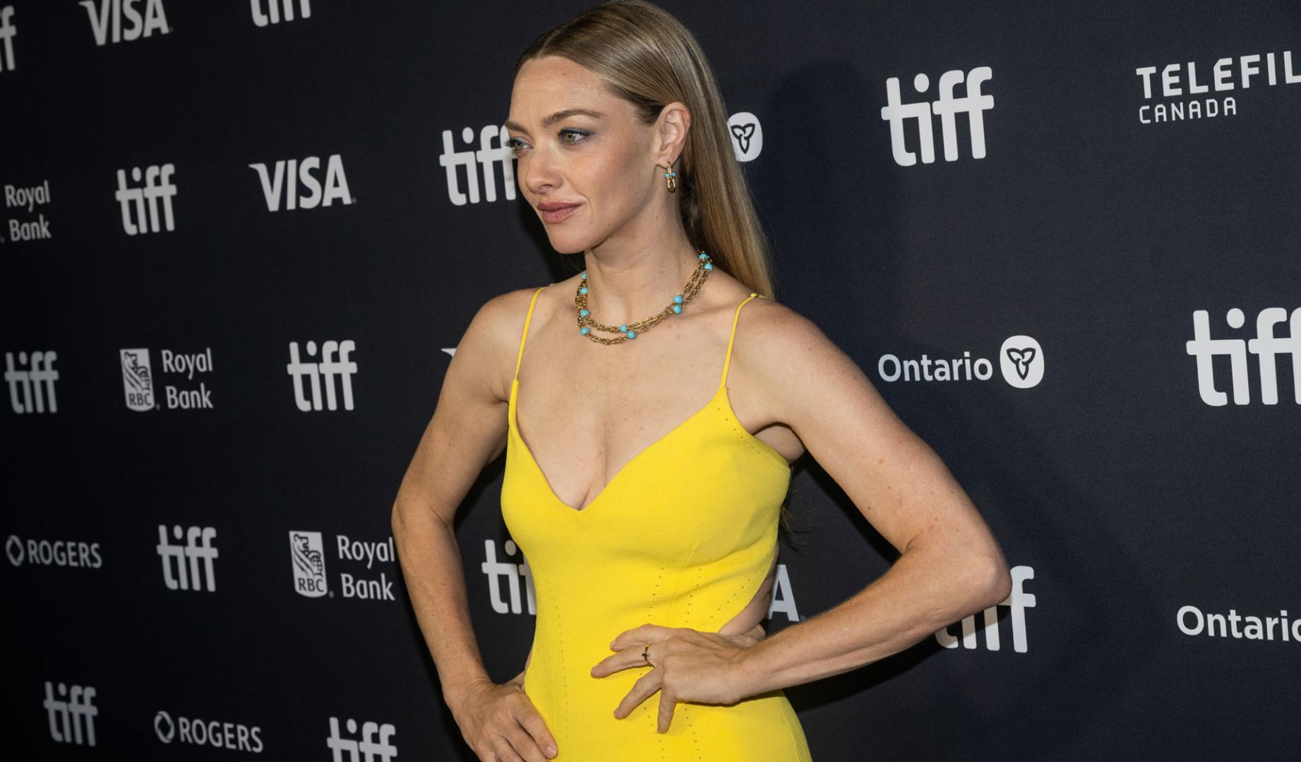 Amanda Seyfried, en el estreno de la película 'The Life And Deaths of Wilson Shedd', este lunes