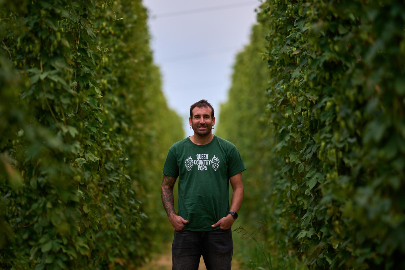 Juan Eraso Zabalegui, en una finca de lúpulo lista para ser recolectada. Las plantas son trepadoras y crecen cada año hasta 6 metros. En la recolección se cortan casi a ras de suelo