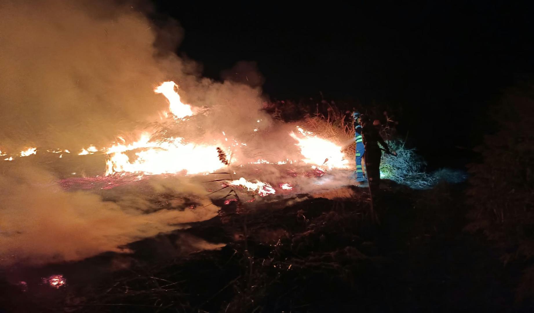 Extinguido un incendio de carrizos cerca de una granja en Cadreita