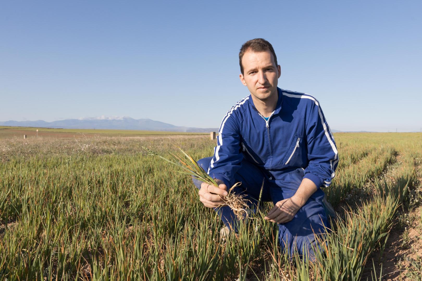 David Navarro, en una fotografía que muestra la sequía en un campo de cebada en secano  de Montes de Cierzo, Tudela.