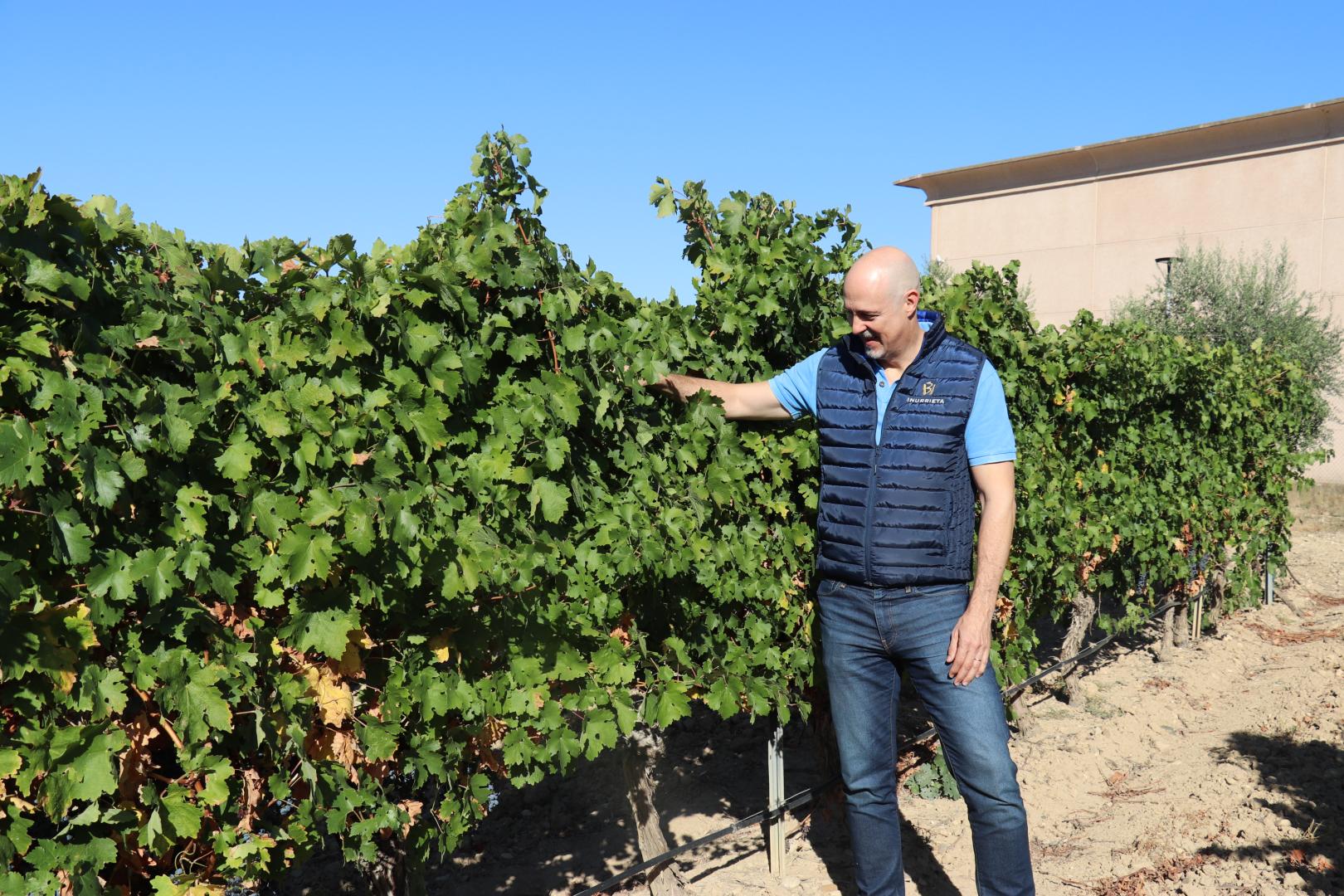 Tomás Antoñana, CEO y cofundador de Inurrieta, en los viñedos propios de la Bodega