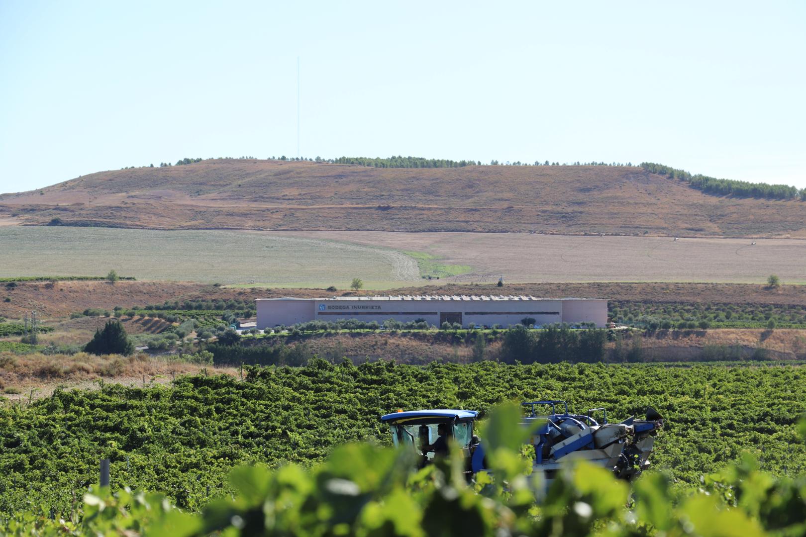 Vista del viñedo propio de Inurrieta, con la Bodega al fondo.
