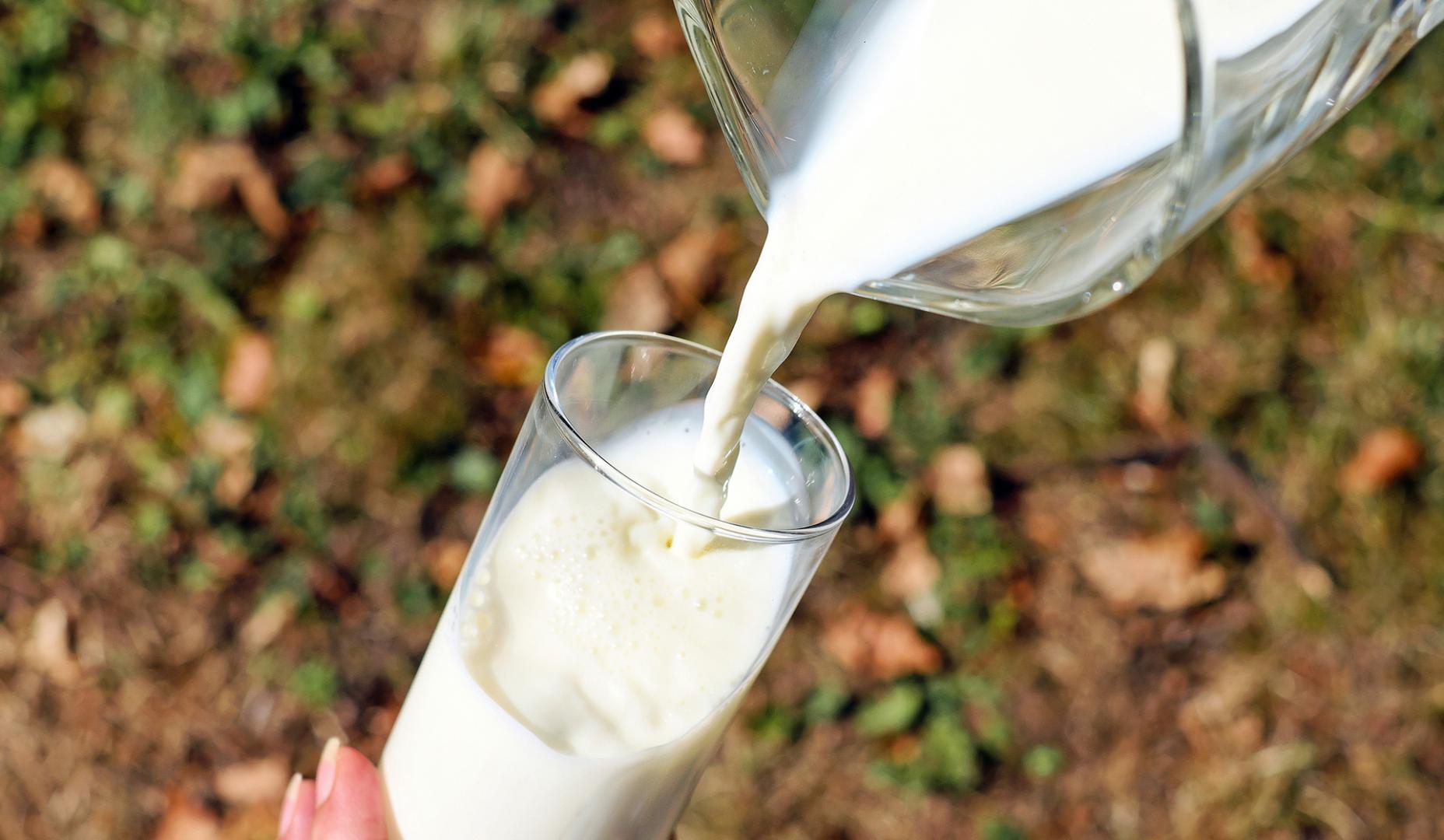 Leche