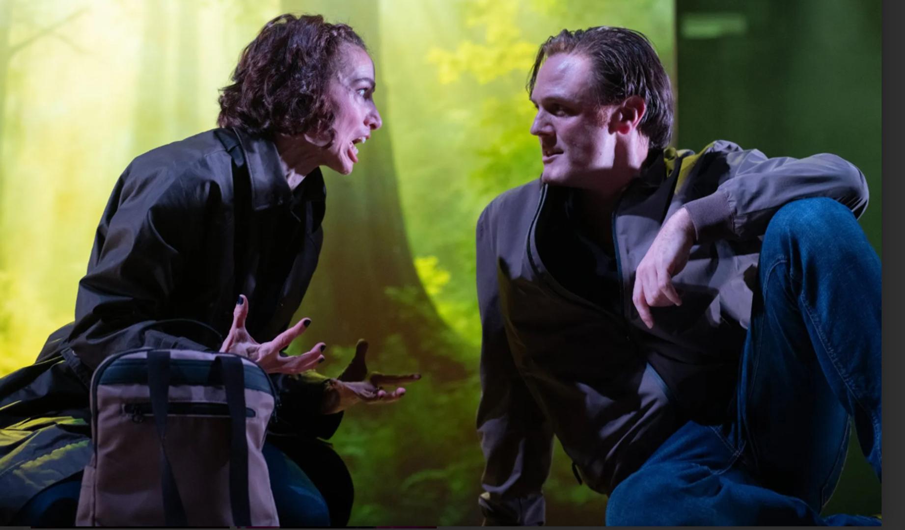 El Gayarre acoge este viernes la representación de 'Los dos hidalgos de Verona', de Shakespeare