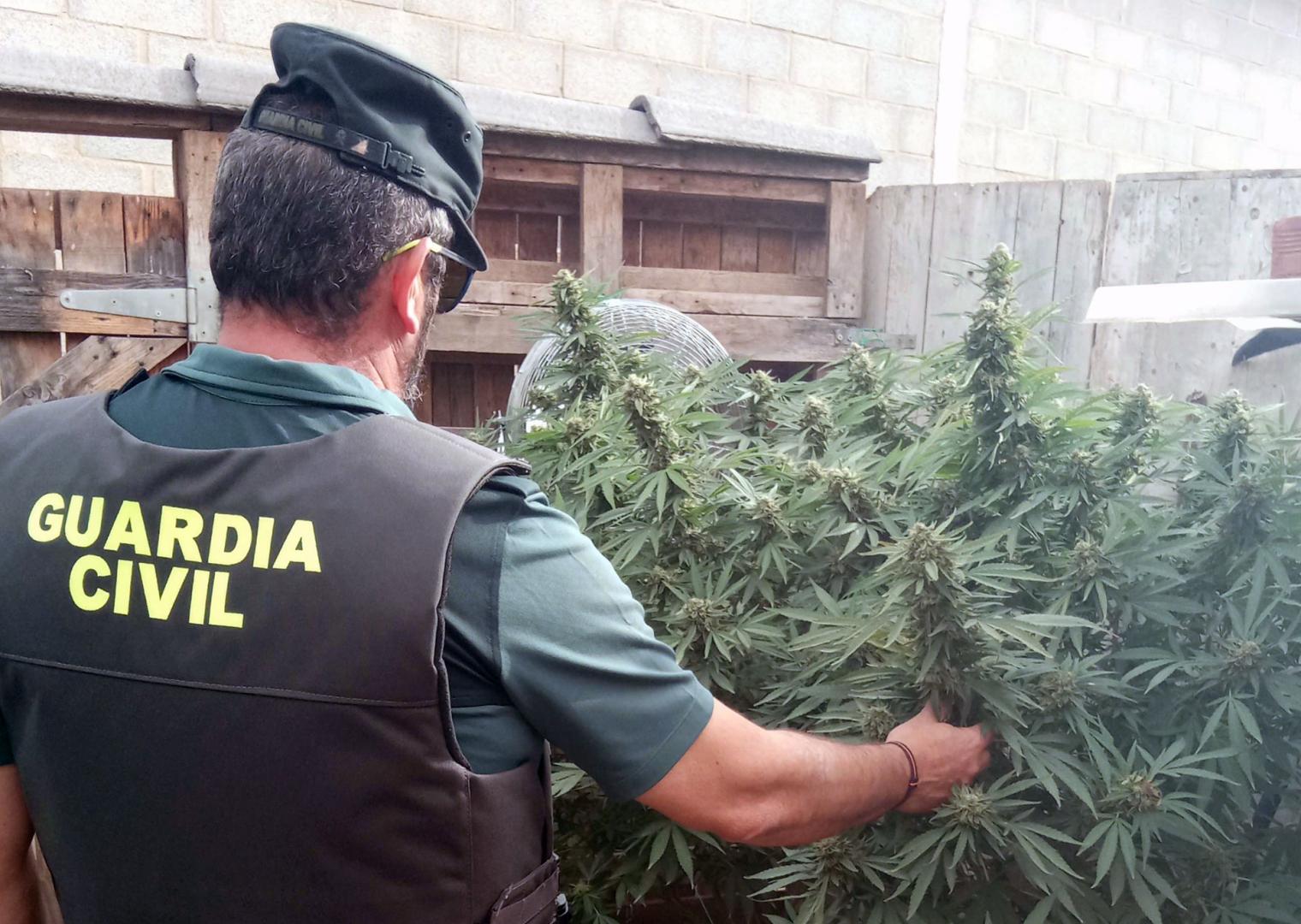 guardia civil