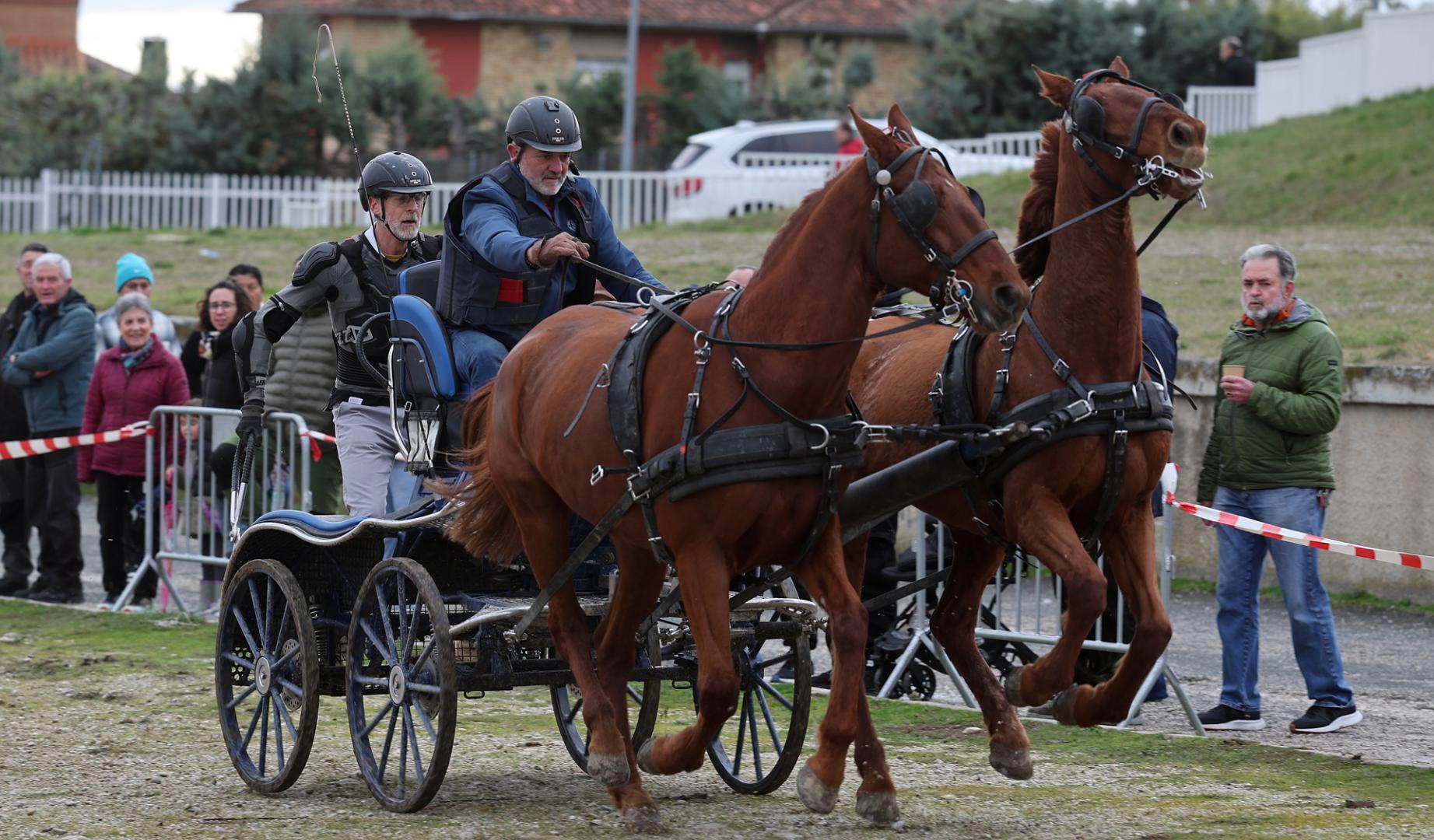 Tafalla