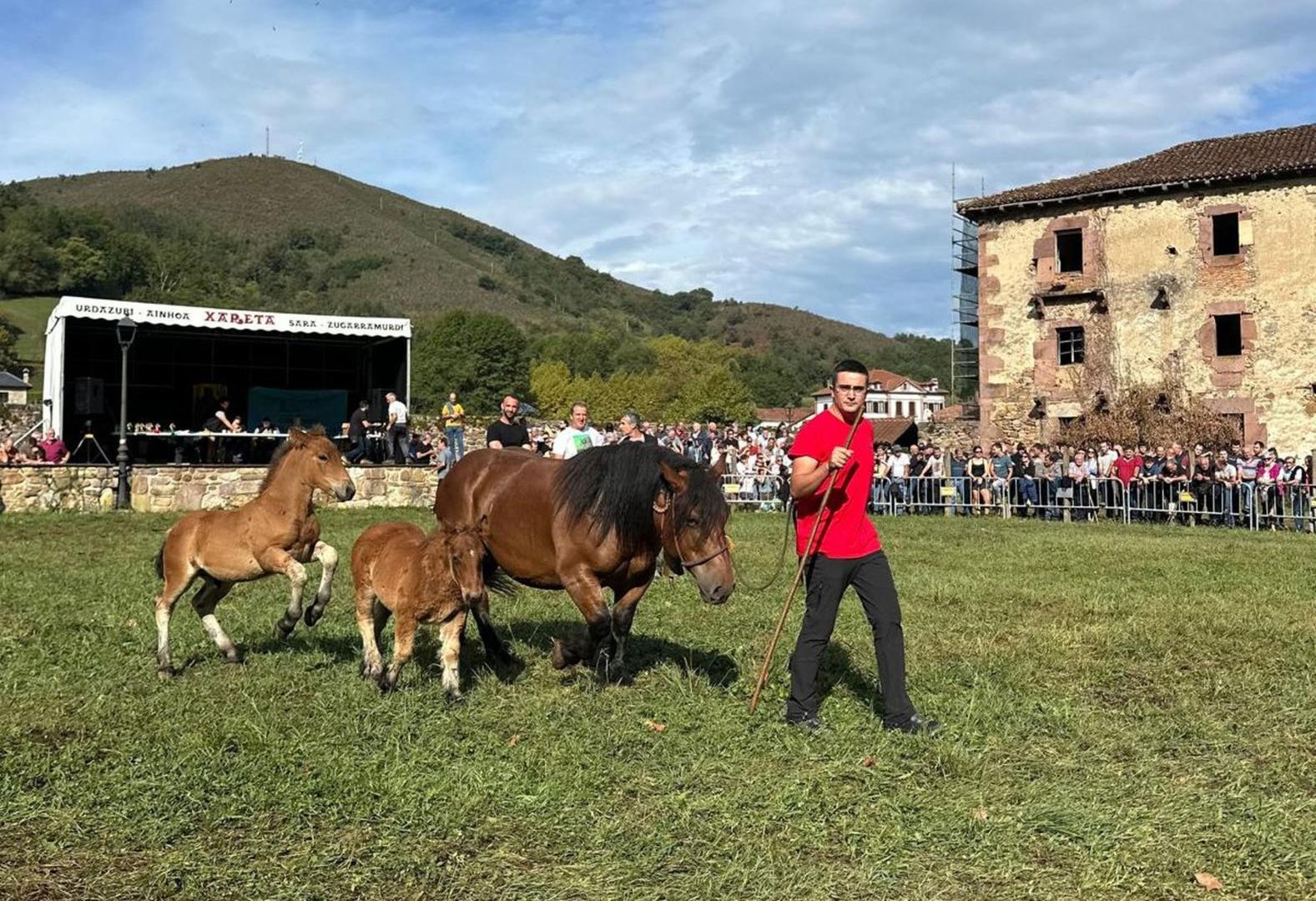 El ganadero de Elcoaz (Urraúl Alto) Santi Iriguibel Larrea, en la 14ª edición del Concurso Caballar de raza Burguete celebrada recientemente en Urdax, con los dos potros y la yegua madre