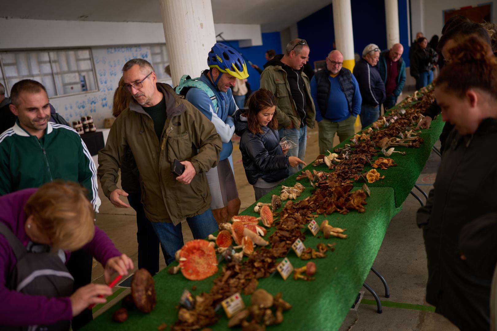 Curiosos de todas las edades contemplan la exposición de 66 especies distintas de setas, ayer, en la escuela de Ultzama de Larraintzar.