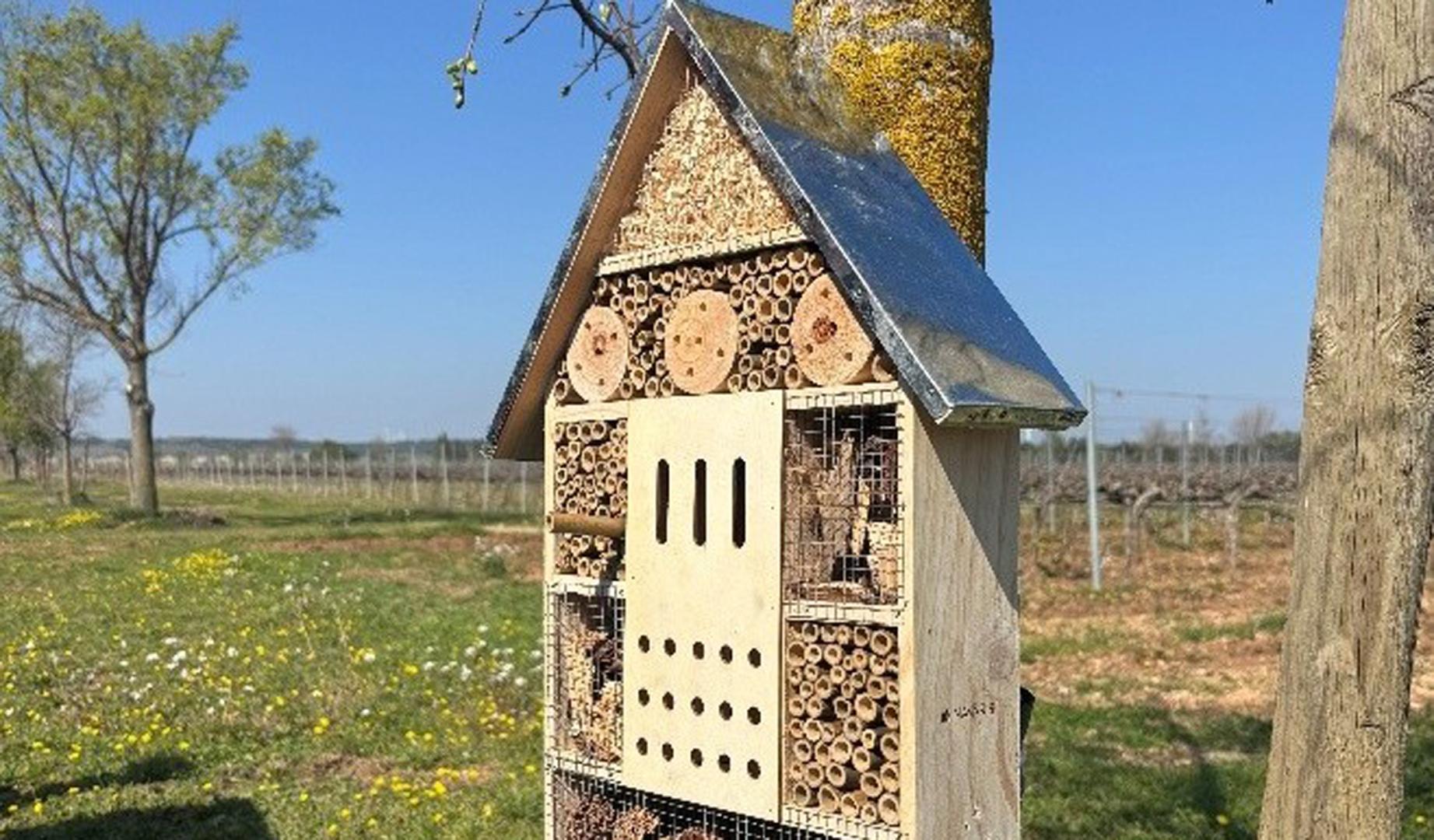 Refugio de insectos