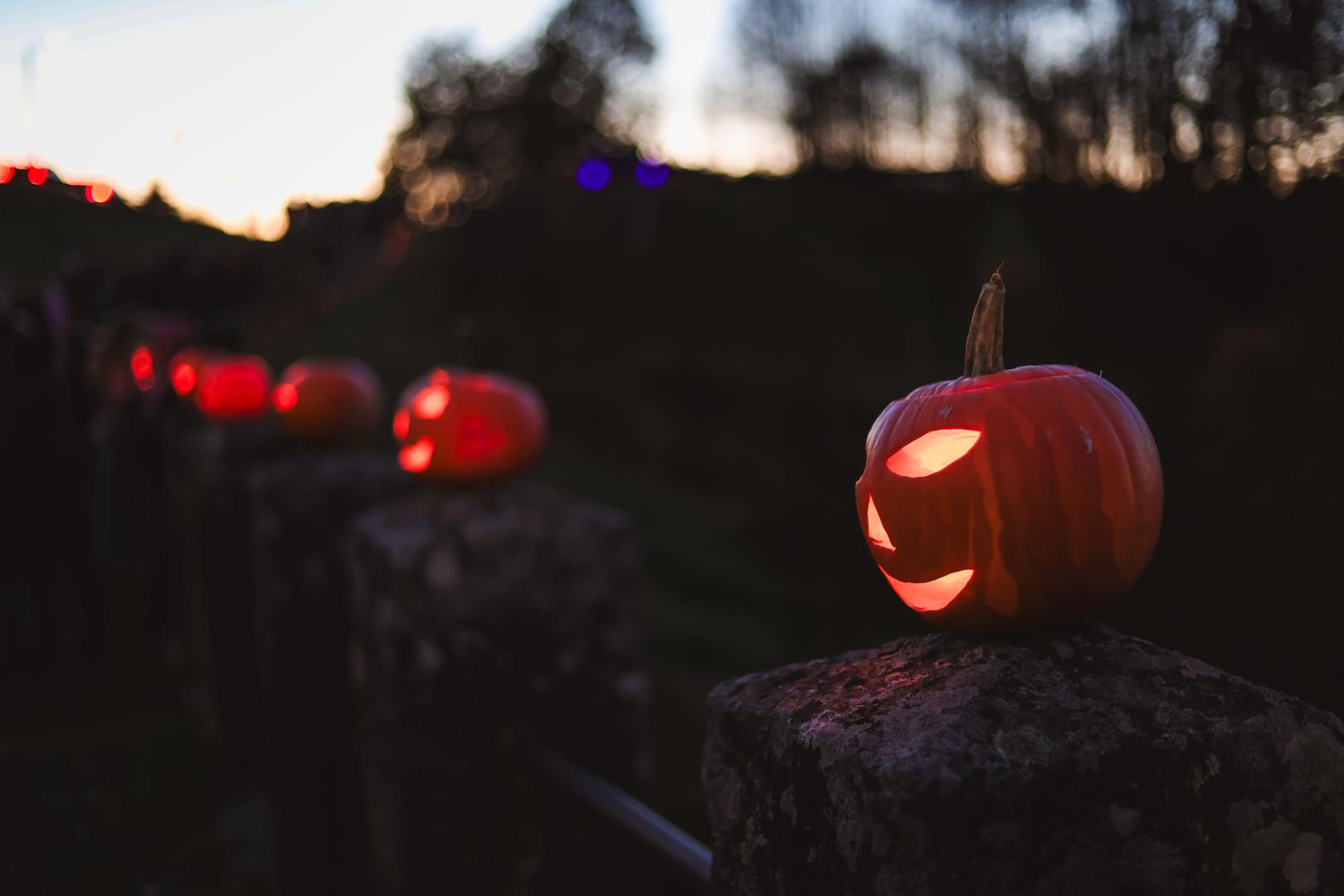En muchos pueblos de Navarra, durante Gau Beltza, colocaban calabazas y nabos iluminados en los caminos para asustar o guiar a los espíritus