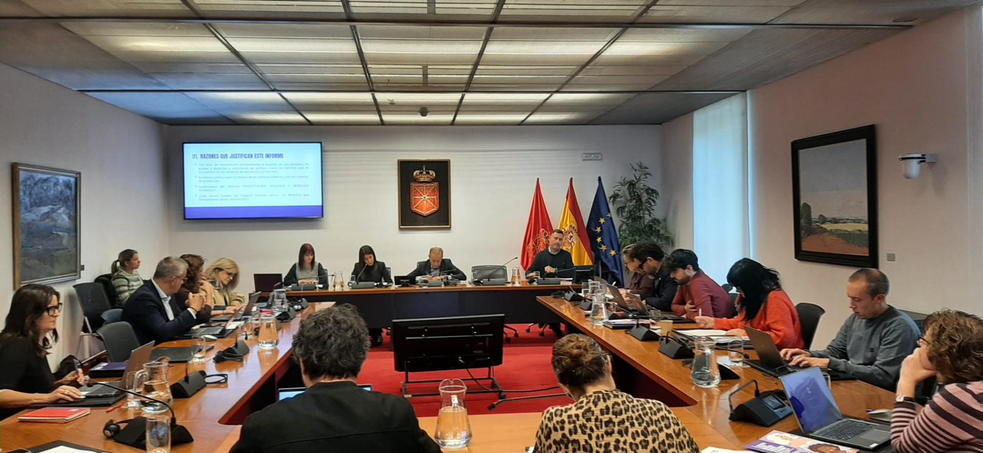 Un momento de la comparecencia de Médicos del Mundo en la Comisión de Igualdad y Presidencia del Parlamento de Navarra