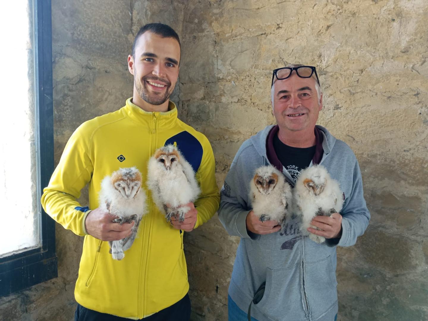 Aimar Sáez, técnico de la Fundación Ilundáin, y Félix Armendáriz, vecino de Tajonar, sostienen crías de lechuza que nacieron en el campanario de la iglesia de Tajonar.