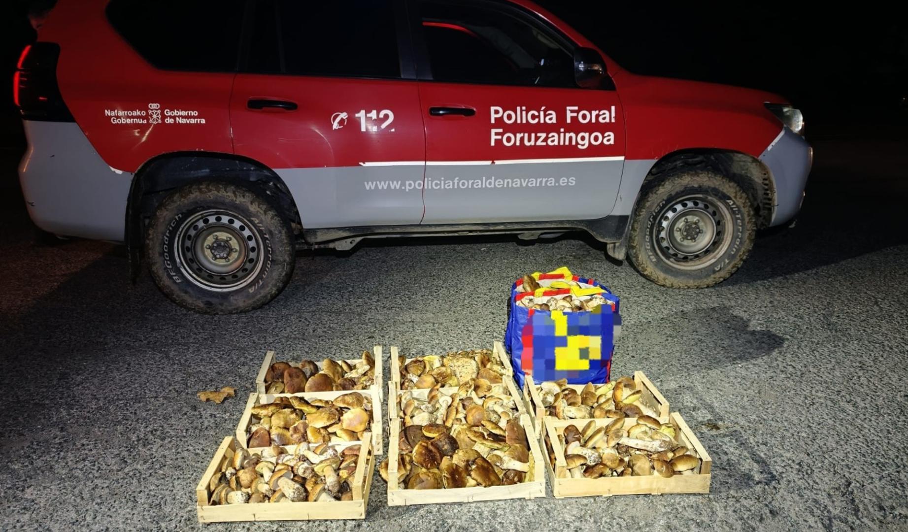 Agentes de la Brigada de Protección Medioambiental de la Policía Foral de Navarra han incautado una cantidad que supera los 50 kilogramos de hongos en el acotado micológico de la zona de Ultzama