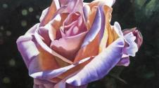 Galería de fotos de la una exposición temporal en homenaje a Georgia O`Keeffe.