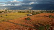 La nueva estación tiñe de rojo y naranja los extensos campos de viñedos
